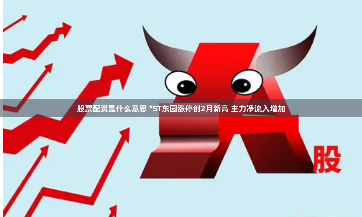 股票配资是什么意思 *ST东园涨停创2月新高 主力净流入增加