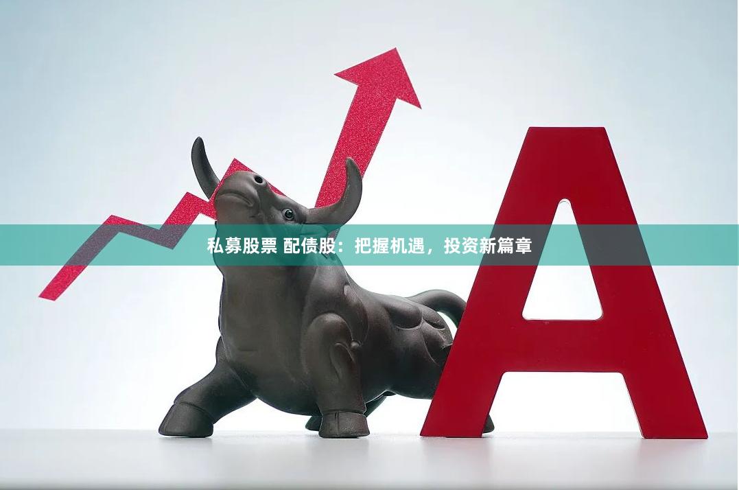 私募股票 配债股：把握机遇，投资新篇章