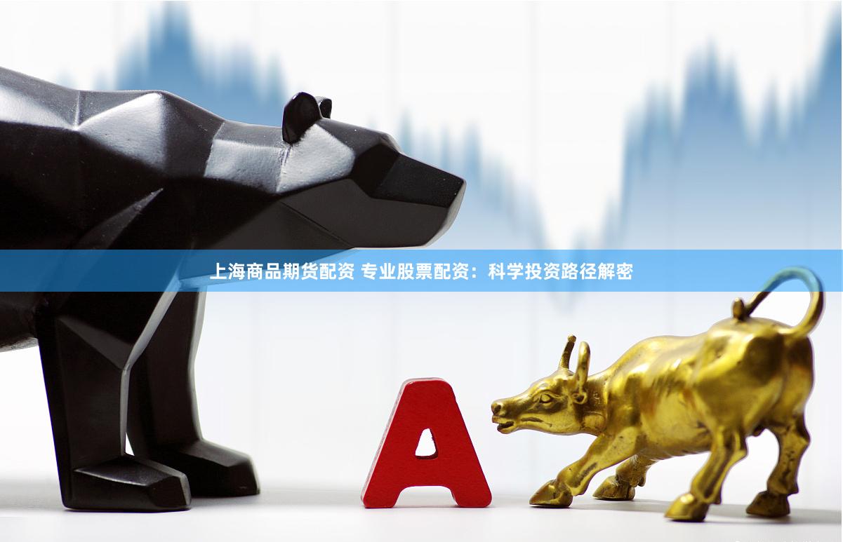 上海商品期货配资 专业股票配资：科学投资路径解密