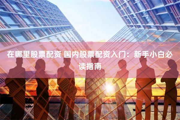 在哪里股票配资 国内股票配资入门：新手小白必读指南