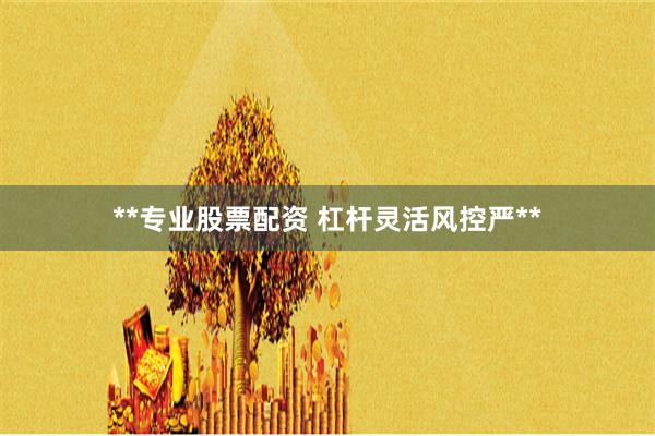 **专业股票配资 杠杆灵活风控严**