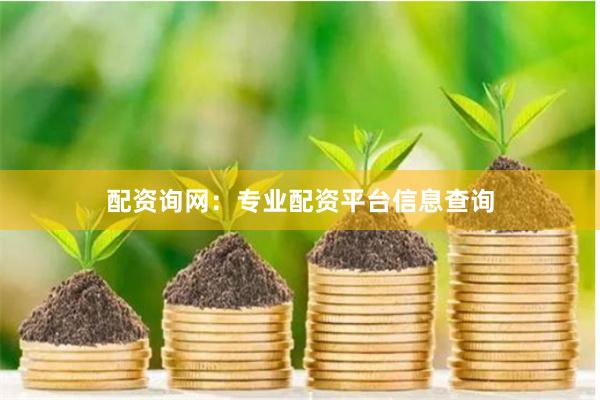 配资询网：专业配资平台信息查询